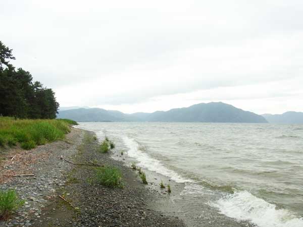 今津浜水泳場南 バス釣り おかっぱりポイント