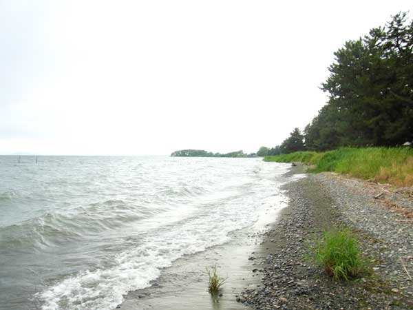 今津浜水泳場南 バス釣り おかっぱりポイント