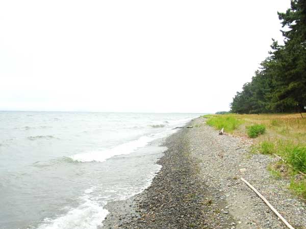 今津浜水泳場 バス釣り おかっぱりポイント