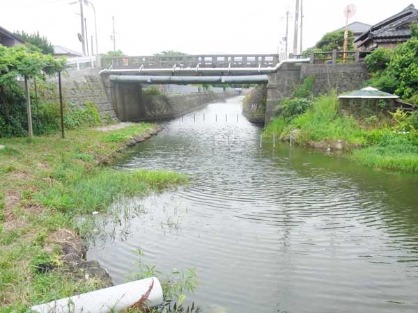 磯漁港 バス釣り おかっぱりポイント