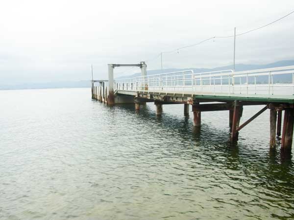 海津大崎 海津大崎港 バス釣り おかっぱりポイント