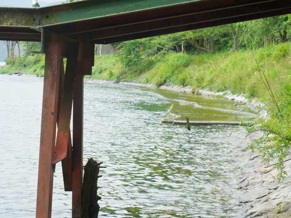 海津大崎 海津大崎港 バス釣り おかっぱりポイント