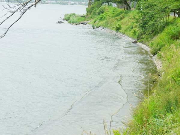 海津大崎 海津大崎港 バス釣り おかっぱりポイント