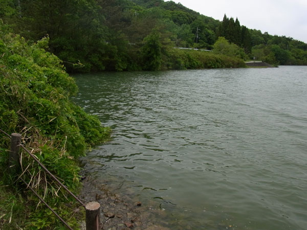 青野ダム バス釣り ポイント おかっぱり