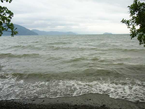 今津町桂の浜 バス釣り おかっぱりポイント