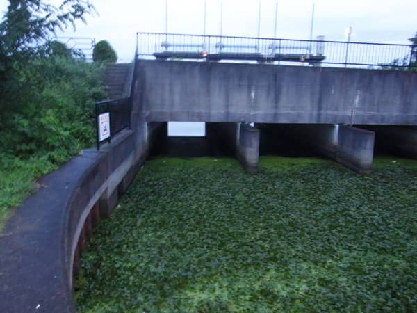 帰帆北橋水門の水路側ポイント