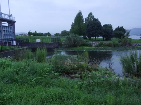 北山田水門地区のポイント