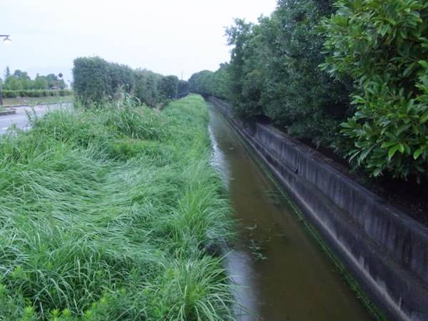 北山田水路のポイント