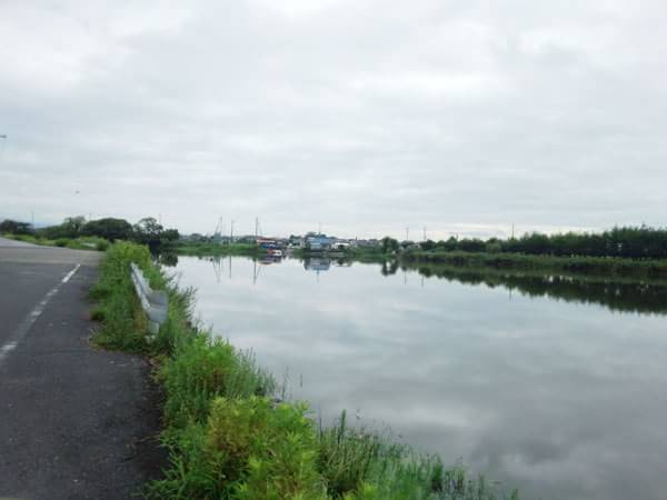 木浜4号水路のおかっぱりポイント