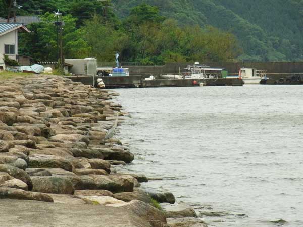 西浅井漁港 バス釣り おかっぱりポイント