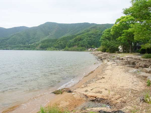 西浅井漁港 バス釣り おかっぱりポイント