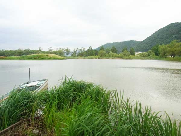 野田沼 バス釣り おかっぱりポイント