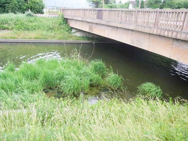 貫川 バス釣り おかっぱりポイント