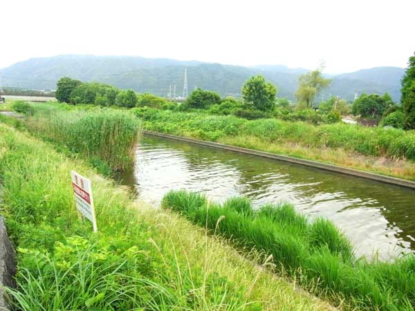 貫川 バス釣り おかっぱりポイント