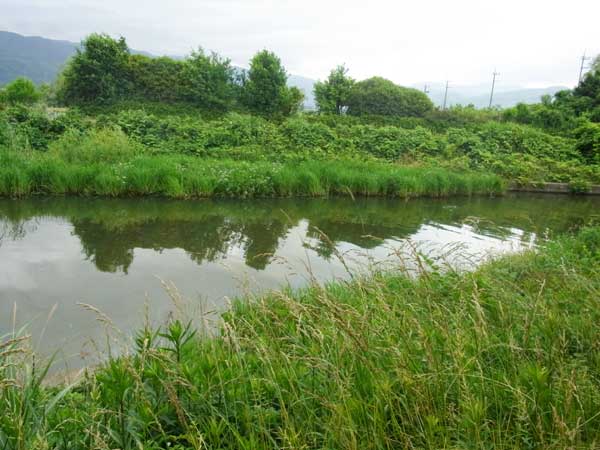 貫川 バス釣り おかっぱりポイント