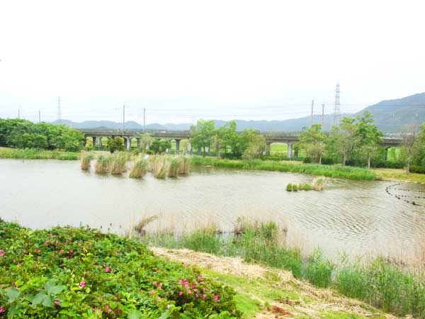 貫川内湖 バス釣り おかっぱりポイント