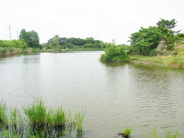 貫川内湖 バス釣り おかっぱりポイント