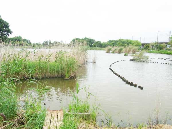 貫川内湖 バス釣り おかっぱりポイント