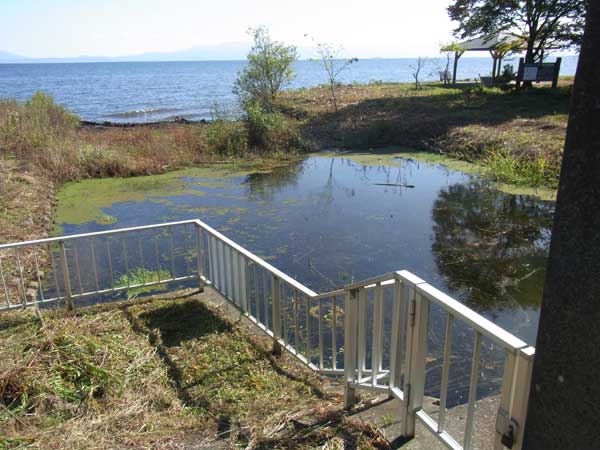 入道浜水門のポイント