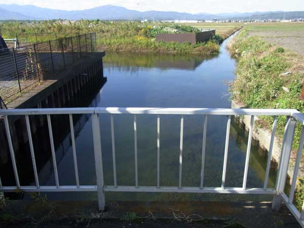 入道浜水路側のポイント