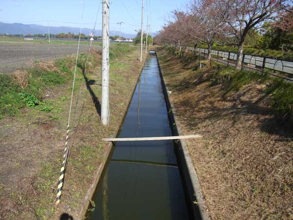 入道浜の近くの水路ポイント