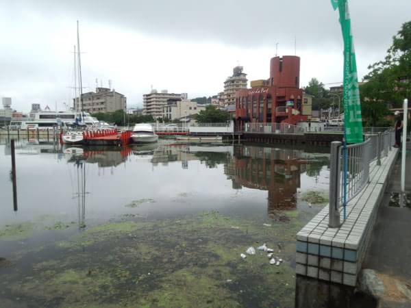 雄琴港遊覧船停泊場所のおかっぱりポイント