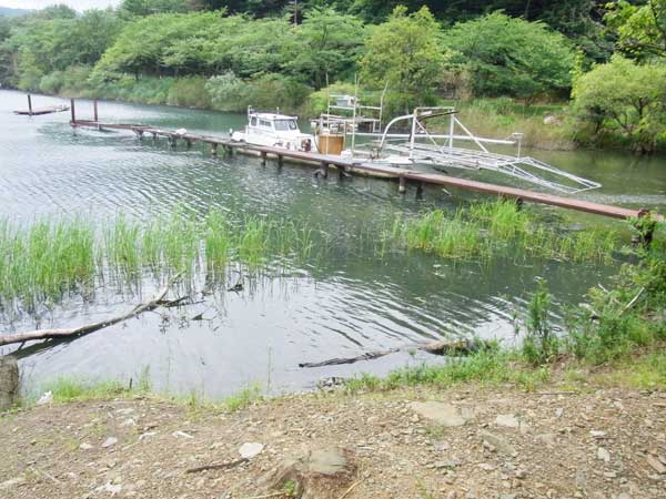 奥出港 奥出浜園地 バス釣り おかっぱりポイント