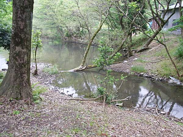 奥出港 奥出浜園地 バス釣り おかっぱりポイント