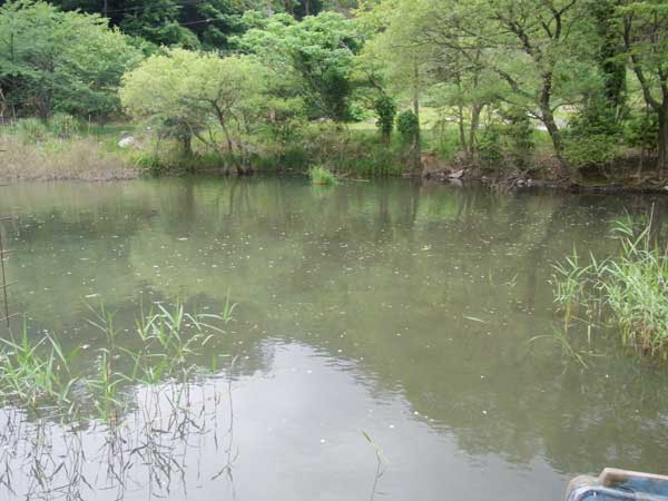 奥出港 奥出浜園地 バス釣り おかっぱりポイント