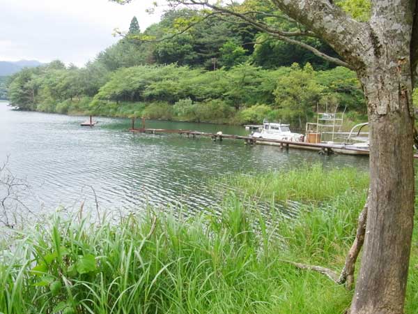 奥出港 奥出浜園地 バス釣り おかっぱりポイント