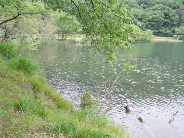 奥出港 奥出浜園地 バス釣り おかっぱりポイント