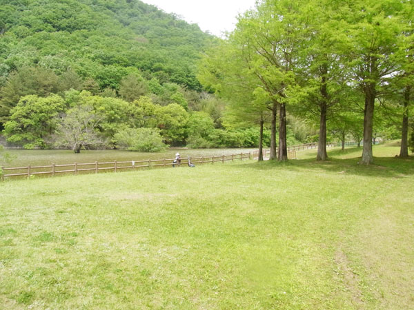 青野ダム バス釣り ポイント おかっぱり