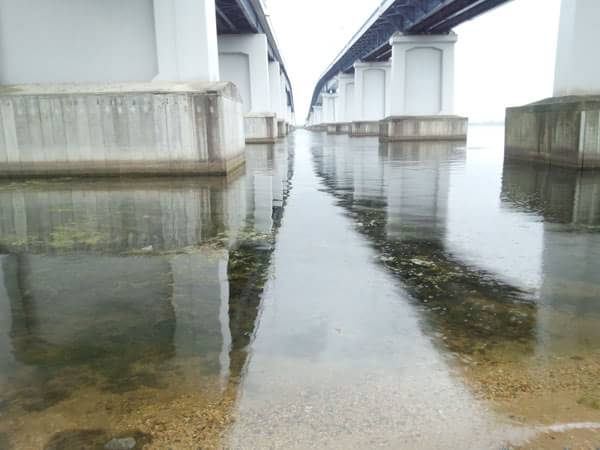 琵琶湖大橋下のおかっぱりポイント