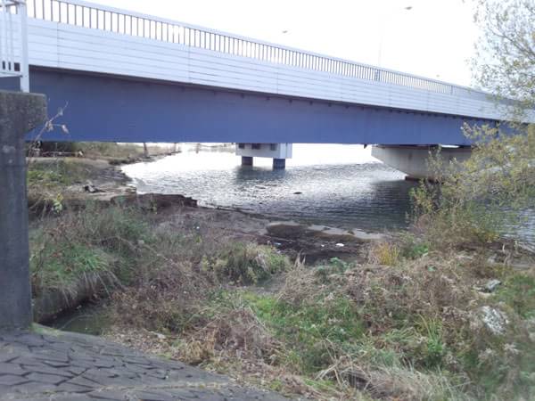 琵琶湖大橋東の大橋の下のおかっぱりポイント