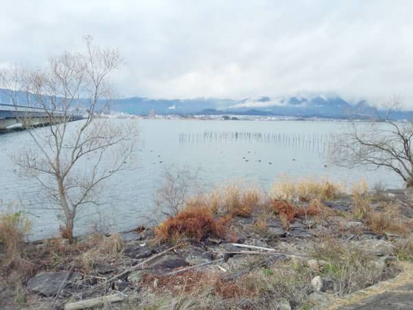 琵琶湖大橋東の北側のおかっぱりポイント