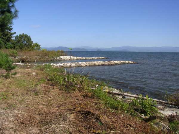 太田浜北側の水路ポイント