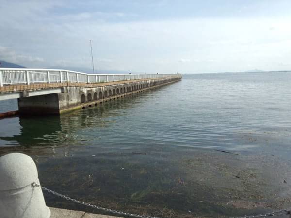 大津湖岸なぎさ公園の桟橋のポイント