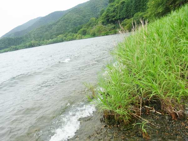 大浦 河原の浜 バス釣り おかっぱりポイント