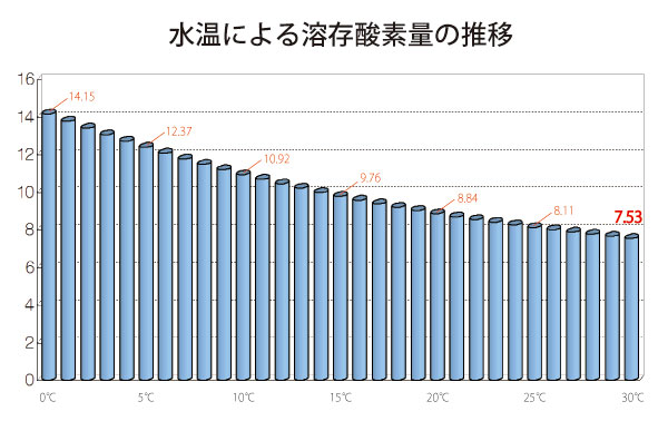 バス釣り 真夏 高水温 炎天下