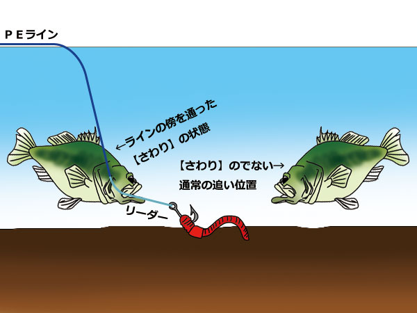 バス釣り パワーフィネス PEライン さわり