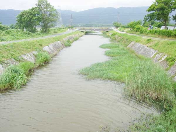 新保川 バス釣り おかっぱりポイント