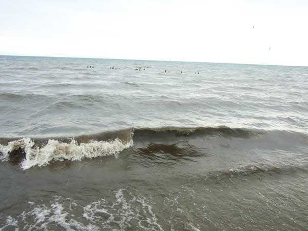 外ヶ浜 バス釣り おかっぱりポイント