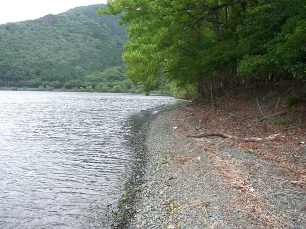 菅浦 バス釣り おかっぱりポイント