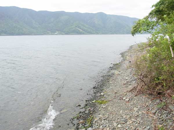 菅浦 バス釣り おかっぱりポイント