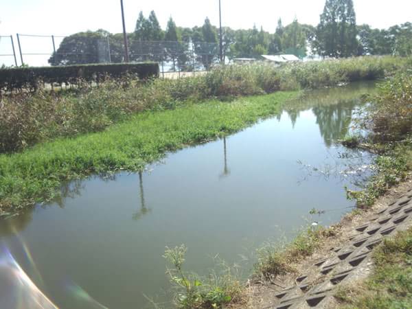 天神川緑地公園(山ノ下湾北)に流れる天神川のポイント