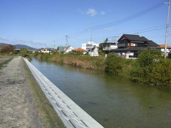 和田打川対岸の葦際のポイント