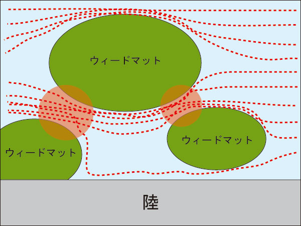 バス釣り ウィードマット